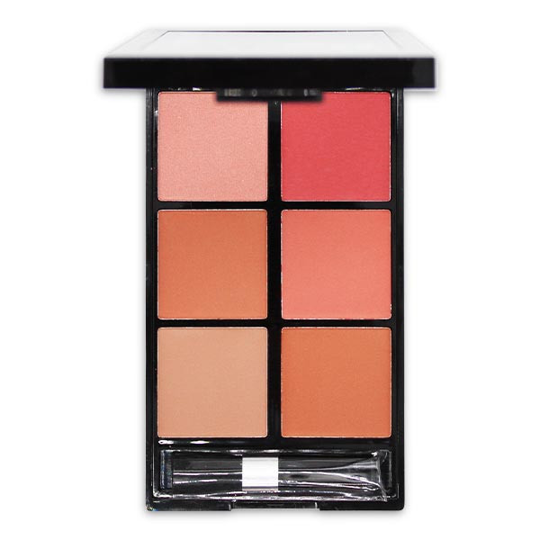 پالت رژ گونه رمانتیک برد مدل 6B V Face Beauty Looks B