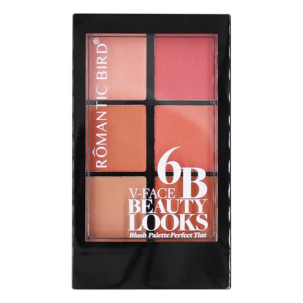 پالت رژ گونه رمانتیک برد مدل 6B V Face Beauty Looks  B